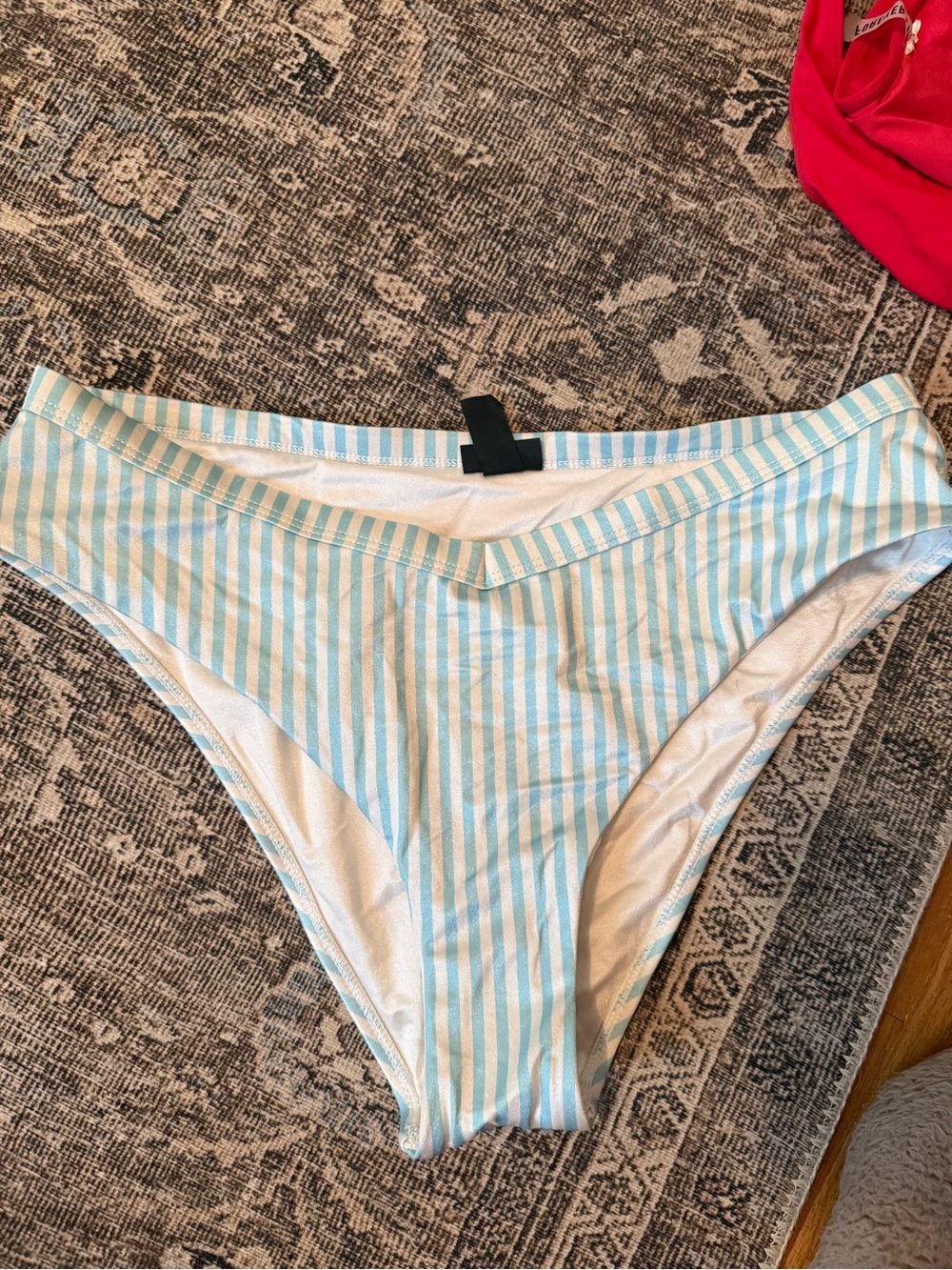 Striped V- Cut Bikini Bottoms